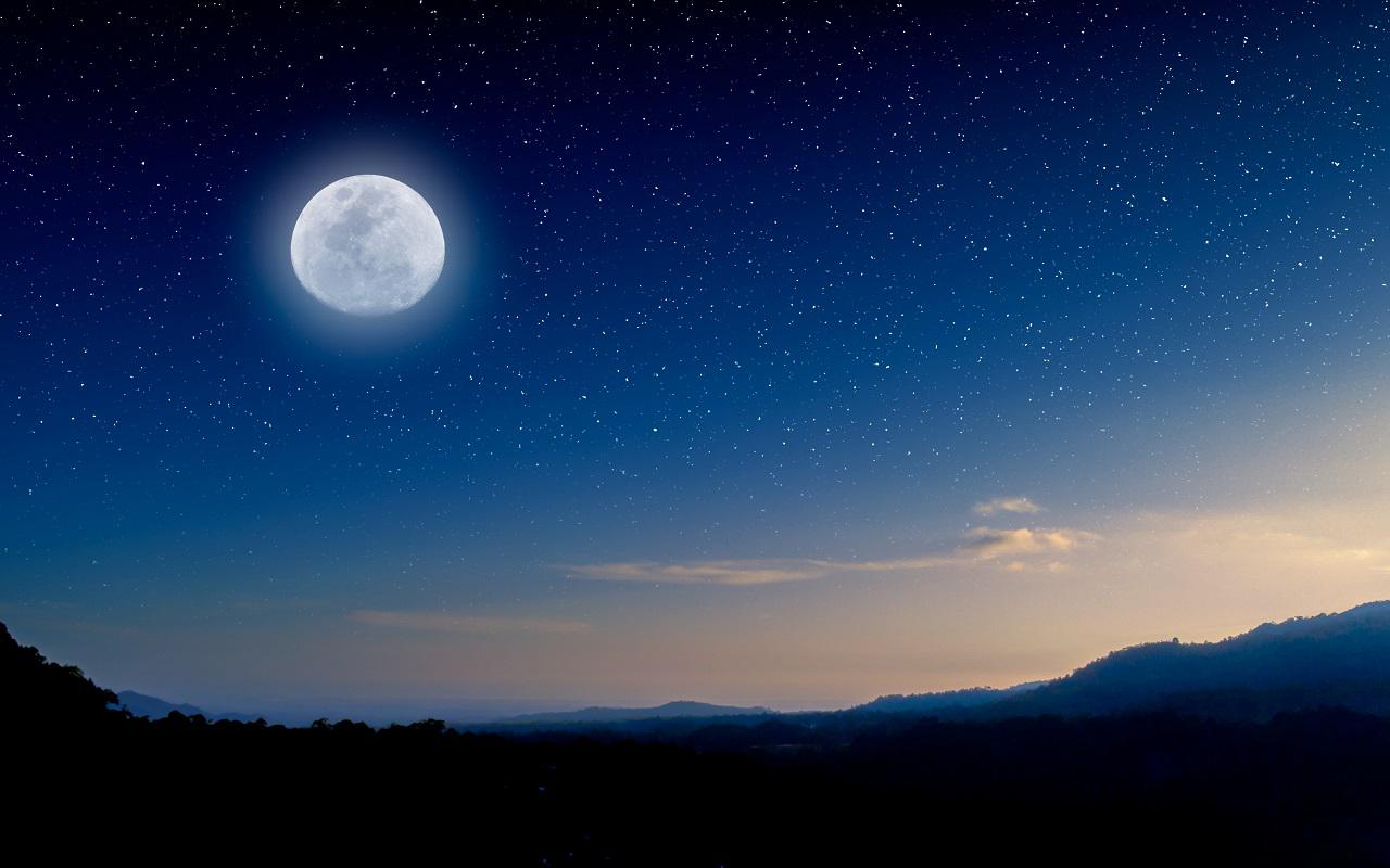 Фото: Shutterstock