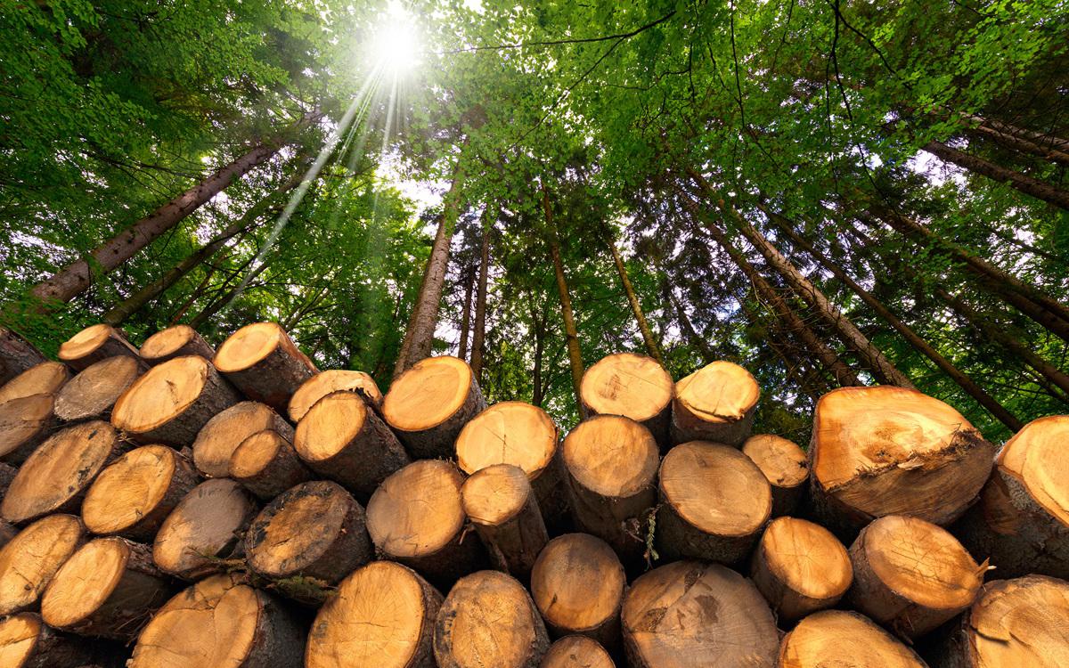 Фото: Shutterstock